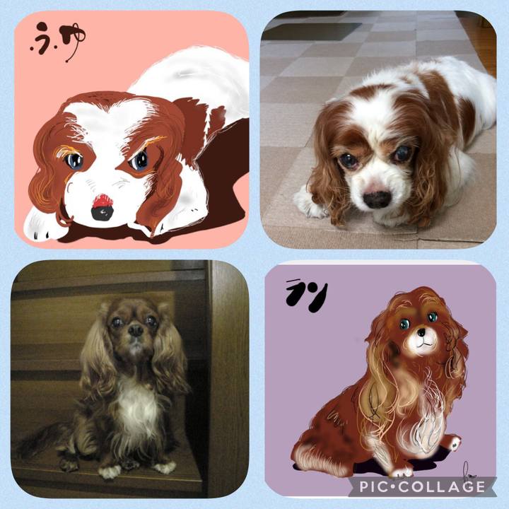 4e512161 6c74 4509 a047 26bac17170f9 1628988094154