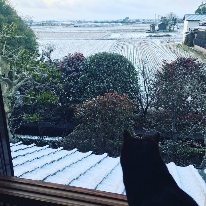 4e512660 ab62 4c6d 87b6 89929c8dd4aa 1517870101417