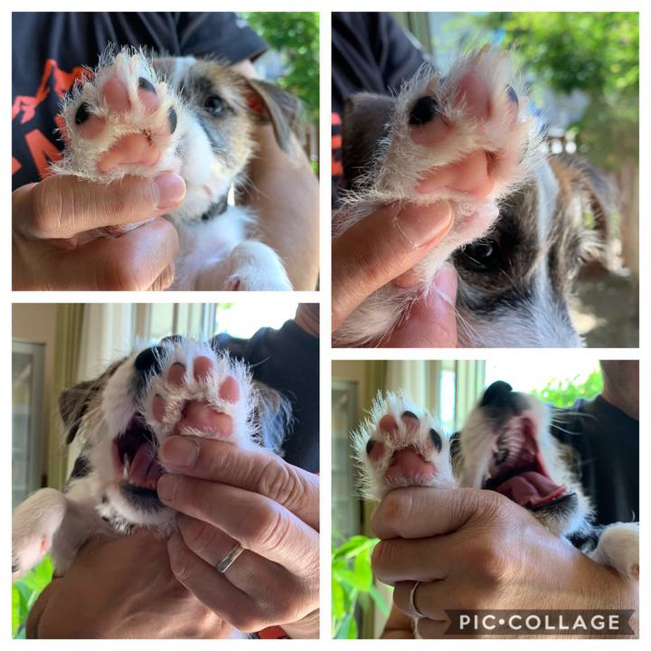 4e51a569 df7e 49f1 8819 3f1cb4f3b00d 1560655317732