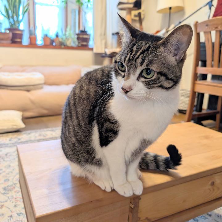 4e51e86a 42f9 453a acdd d81ba14127fa 1776379772207