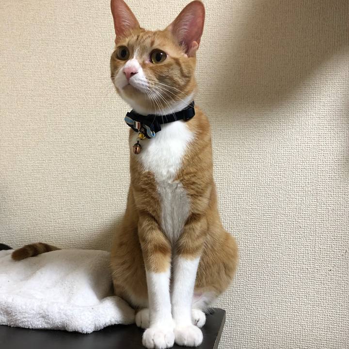 4e520b52 3101 4c03 bf06 5e34b82f759e 1566646758580