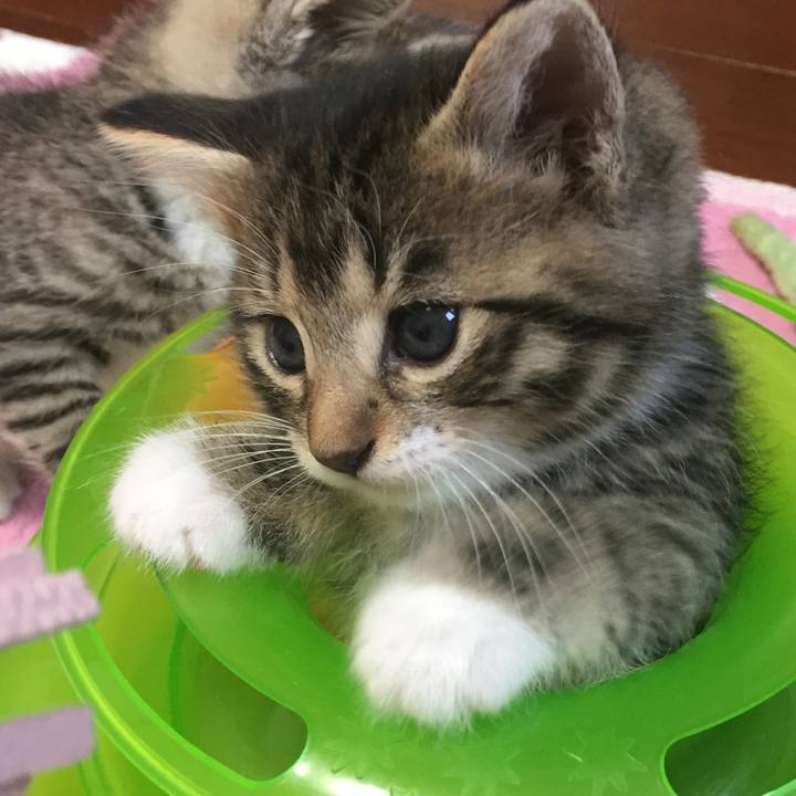 4e521931 41c7 4606 91ab 3a9fffd09dab 1571670329036