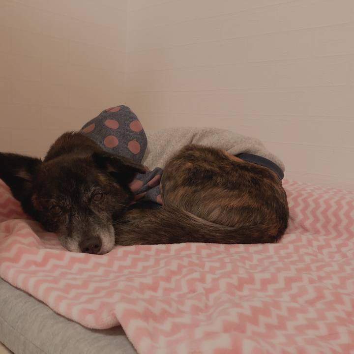 4e525f57 c34f 44ac 9c5f e997a5709e93 1610899603551