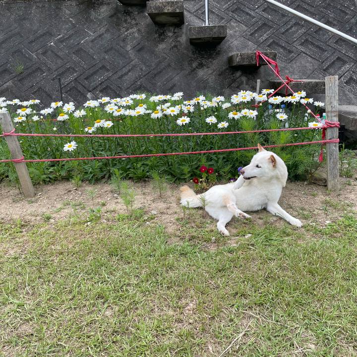 4e526c87 6148 468e 8455 05ba5f2c286d 1654876986686