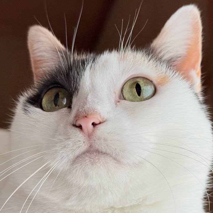 4e528c9a d6d4 4aec 908d 3bfa935f8fa6 1768873588984