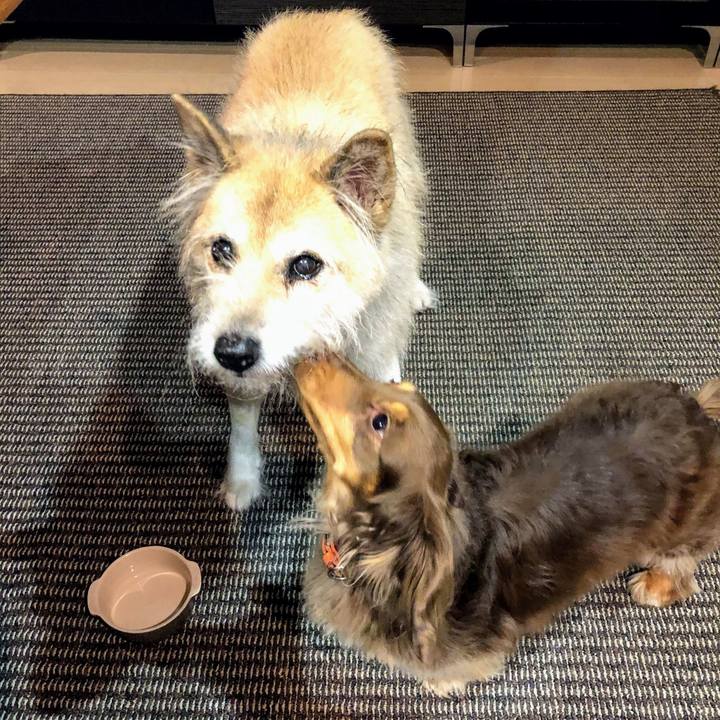 4e5294c3 e193 4756 9f80 74163321dd67 1580311789339