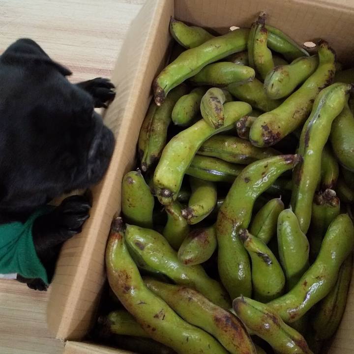 4e52d73b d113 4cf5 ba59 0b1cd9d82fee 1588132447219