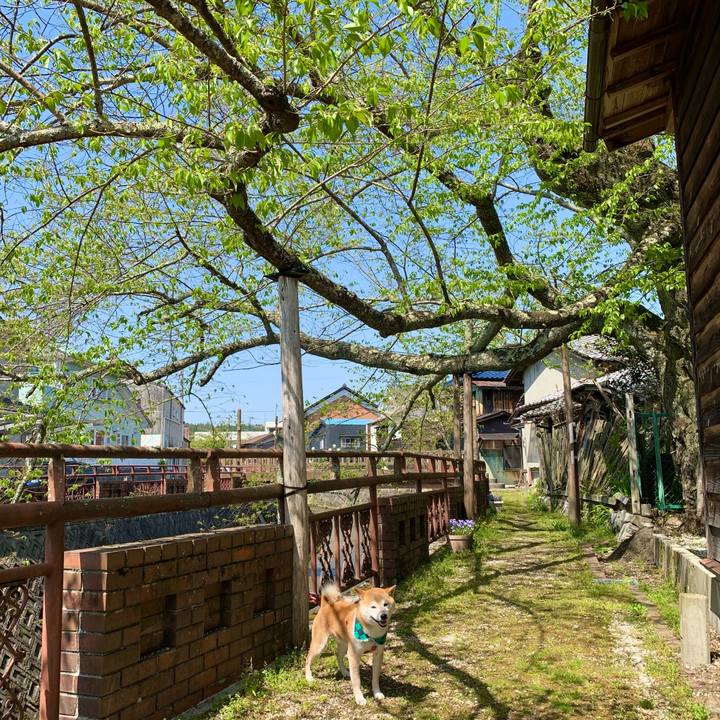 4e5314dd 828f 4222 bb5e c11e2346f565 1618906145679