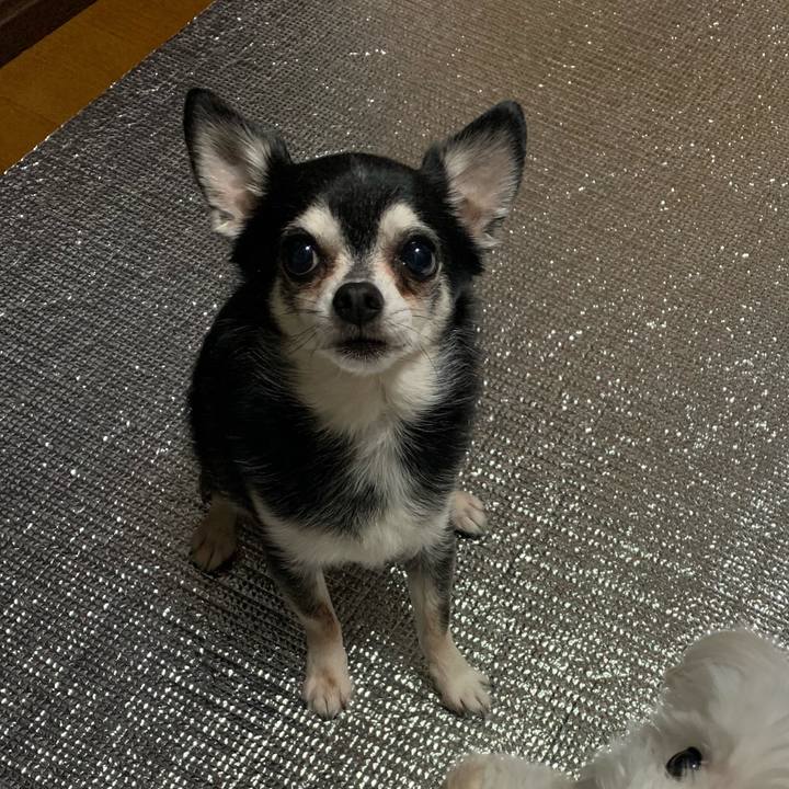 4e53a0ff 6b41 479d b688 649df9cf3dea 1683755124332