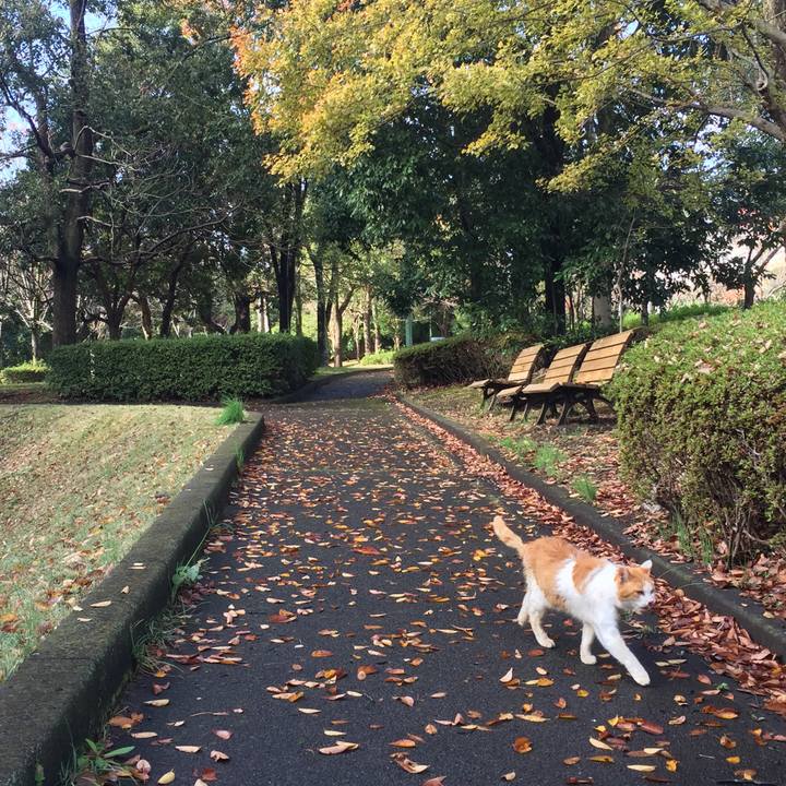 4e541321 4144 4018 b320 322912ff293f 1574582511887