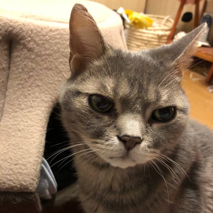 4e5421e3 d408 49be 9948 ec6cb18f6ddc 1514556151348