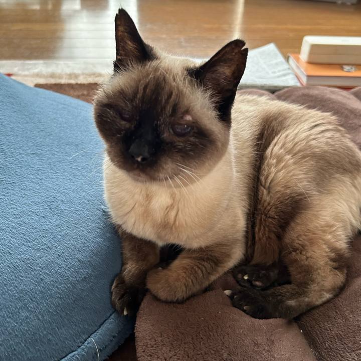 4e54595e 0c75 4768 be3b bc5cff394c02 1686353798699