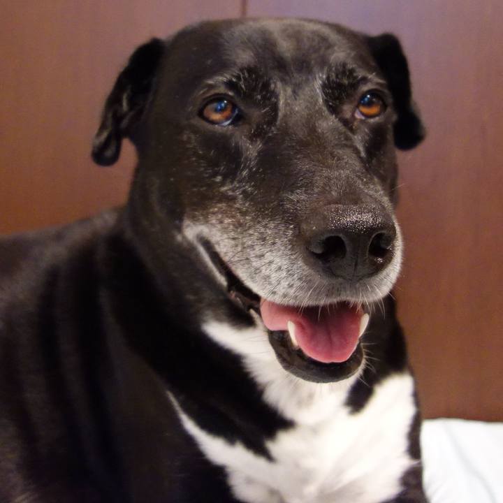 4e5464e0 a24a 4864 8490 9d332d9515fa 1721693759311