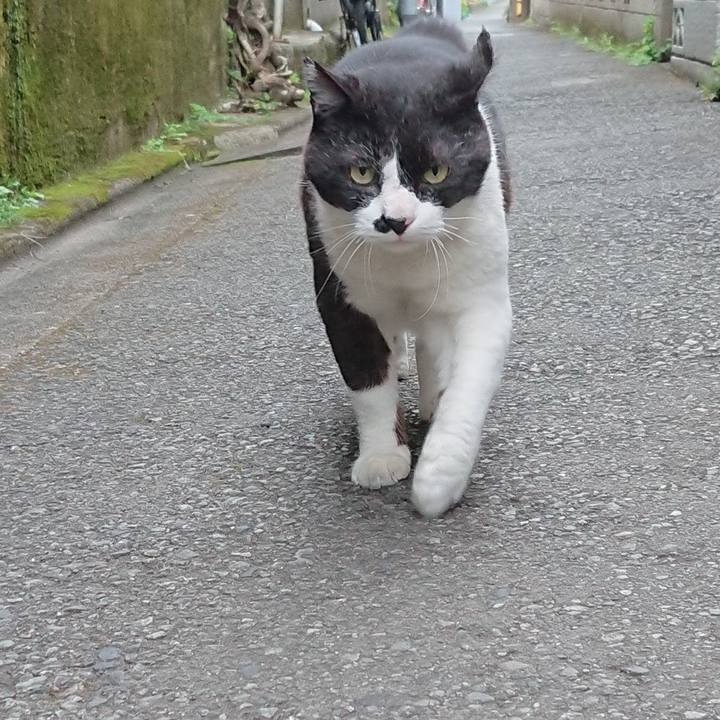 4e5470f7 d252 4011 bc7e 8d6adb01f053 1620459487888