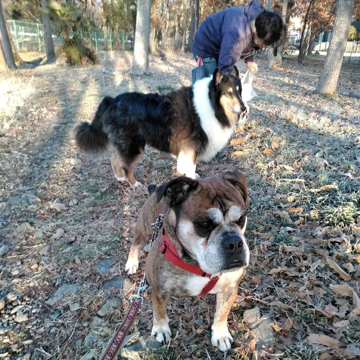 4e5481b6 b22a 4316 a1d7 915c7b17e6ea 1520943623495