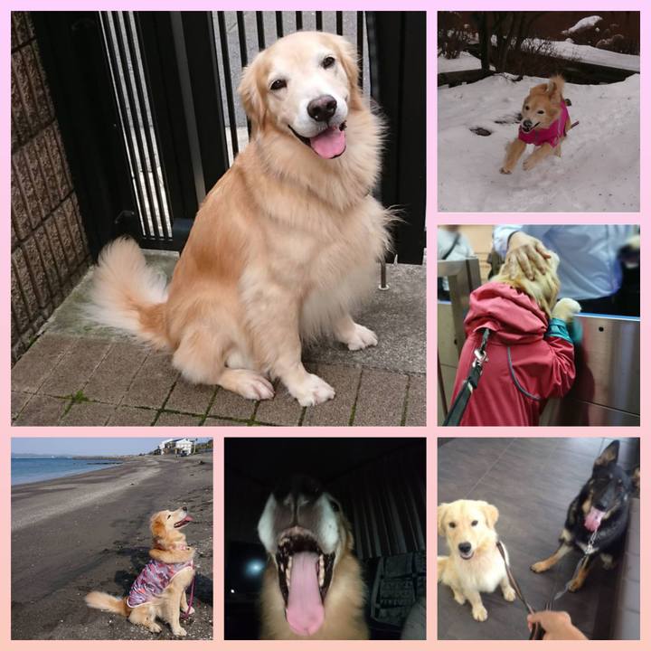 4e5496a9 7f32 48bb a07e 588507eab1ee 1623969252856