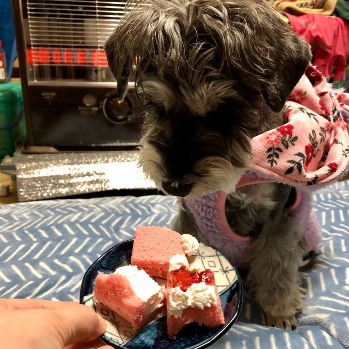 4e54a9de 3fab 4890 a063 98616e1d007d 1673102655366