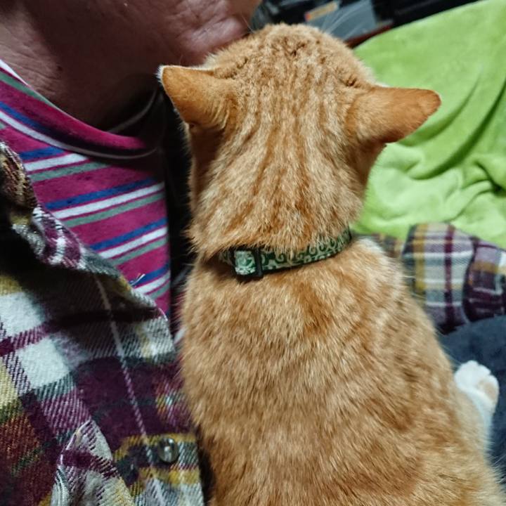 4e54b4ff 2af5 4b2a bfb1 21f206c8f048 1583007059274