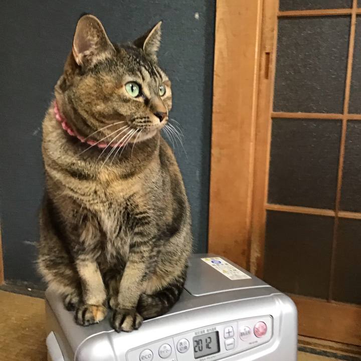 4e55153e 43a9 441c 867d 87135f9c6f9d 1734220643367