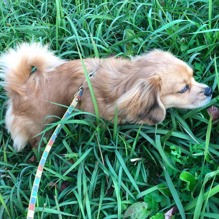 4e55410c 0e24 4e05 ab33 4d805de873bb 1509753418725