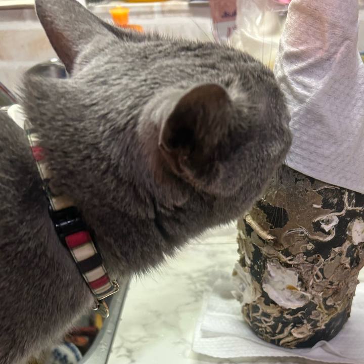 4e55887d a7e4 4046 a670 2f64bf249054 1741313194100