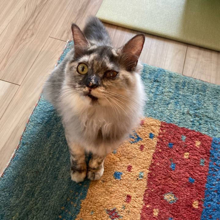 4e5596f4 06c0 4c07 b70b cf578145f1ae 1710379670714