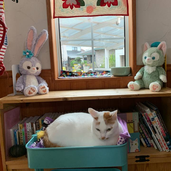 4e55cfba d936 44d9 818f b728ed85724b 1585174258851