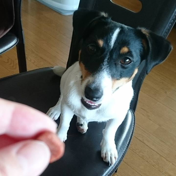 4e55ea9a 529f 4f9a 8098 a289e7225f4e 1533334282174