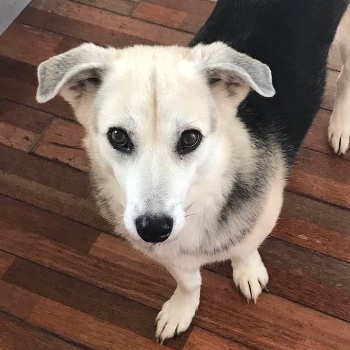 4e564d75 b4d6 4484 8d2c 9af064b7cac6 1567948158068