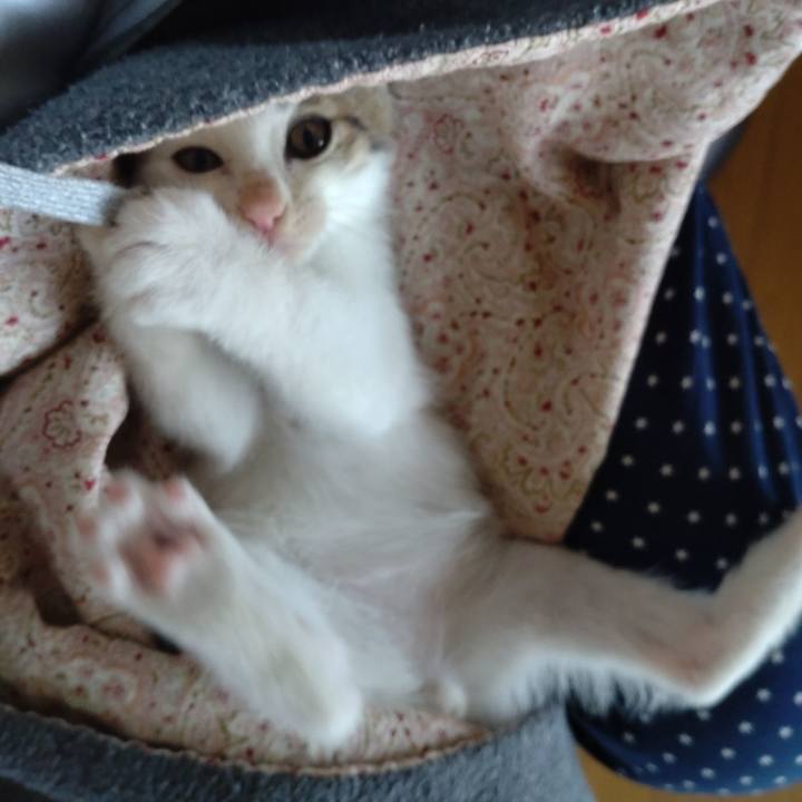 4e56758a 237b 41c9 af9b 96518c97a81d 1632533254109