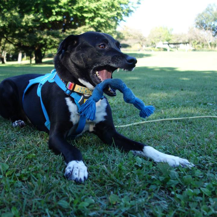 4e5693e5 b259 427f 839f 511c58367809 1634518936060