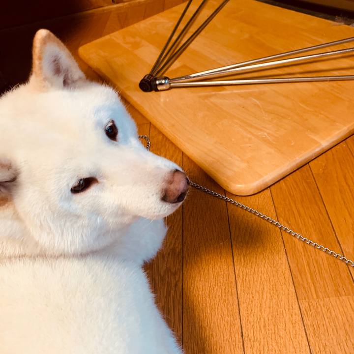 4e56b5cb df77 4f9c b44d 53212eed87bb 1580169098550