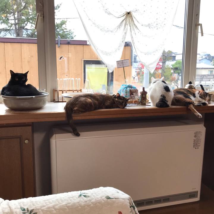 4e57106f 0fec 4b1a 8028 6a45b038139d 1635546867166