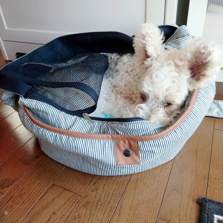 4e572339 24a2 42ca 88f5 521b019c0c0b 1525997632810