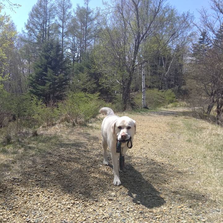 4e5776d2 619e 4f07 8c6a b073be4d346a 1683891092797