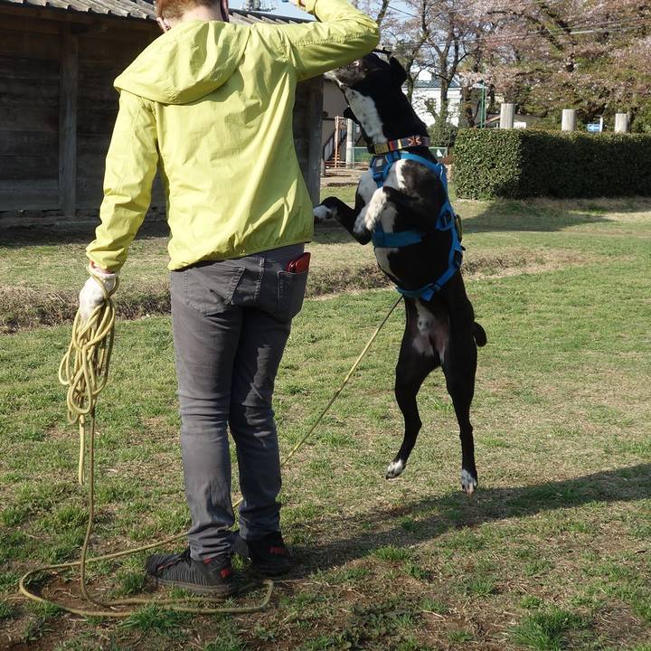 4e57c7b1 a7f1 4a0f 8571 c496209e90e7 1617409778737