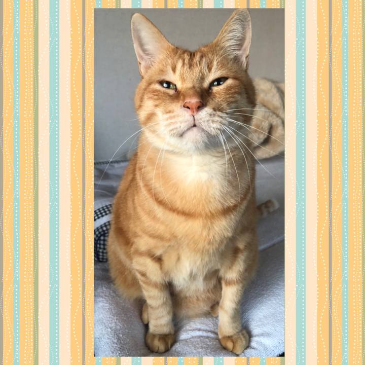 4e57dea3 1363 4f56 a324 8ff7be787c0f 1605130480215