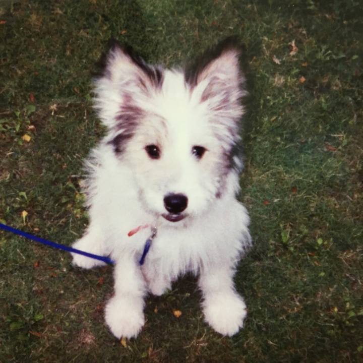 4e57f0aa c082 4746 84b0 f81ef3dafc85 1513863646213