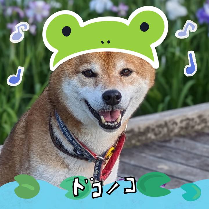 4e581027 ca2c 4f4c b206 d927e74b5ee0 1717594025559