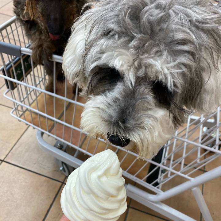 4e5847f8 93f6 4543 aa6f 7c6bf647cb13 1628090114812