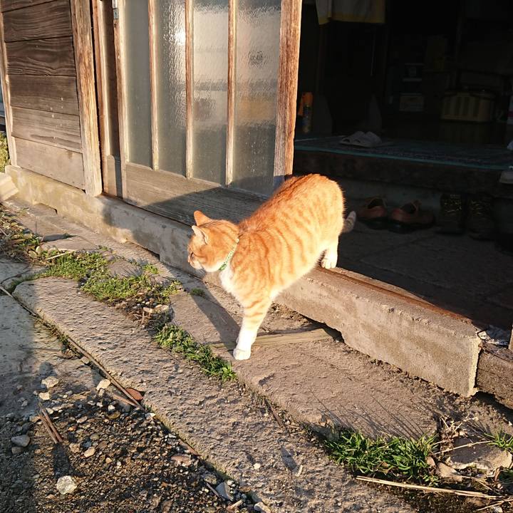 4e587757 f8ad 49e6 ac3f 6786a90c1789 1584222568442