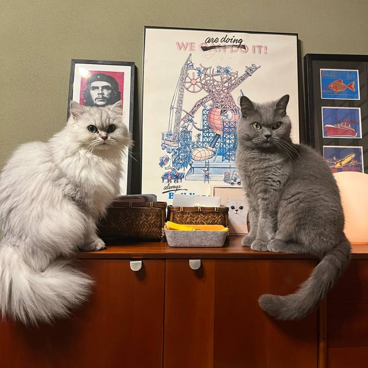 4e58d148 8ea1 47f7 b42f 905135d7d249 1635120095010