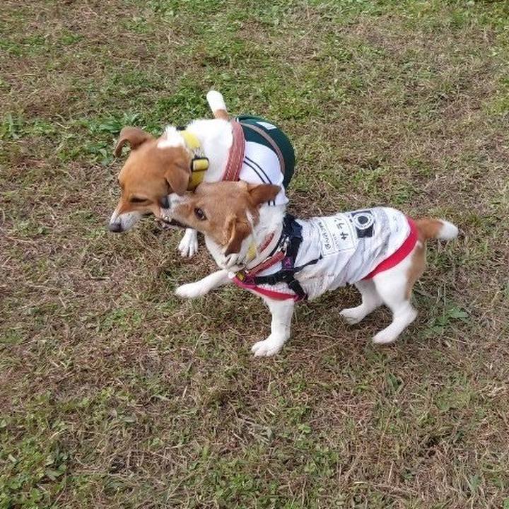 4e592a1f 18e4 47d9 b2ad 37a746e74f6c 1588550852675