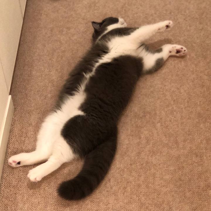 4e5957df be9d 4a8f a1f1 cdc0677077d5 1520689841423