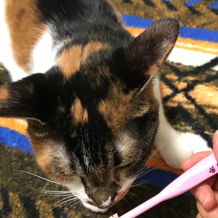 4e598402 e5a1 4a1e bd86 650dc6983475 1528725100995