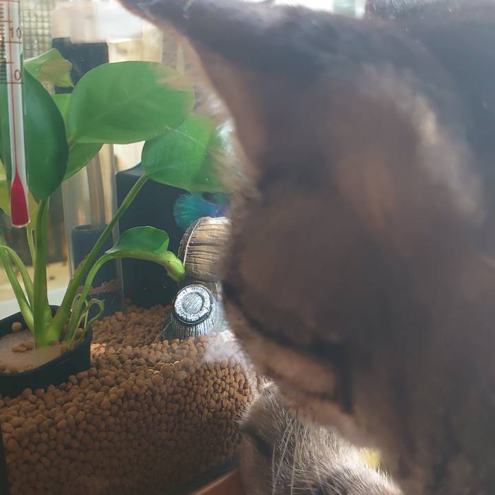 4e59acd3 1f0d 4753 a9bf 2abe3b66aaac 1696570632605