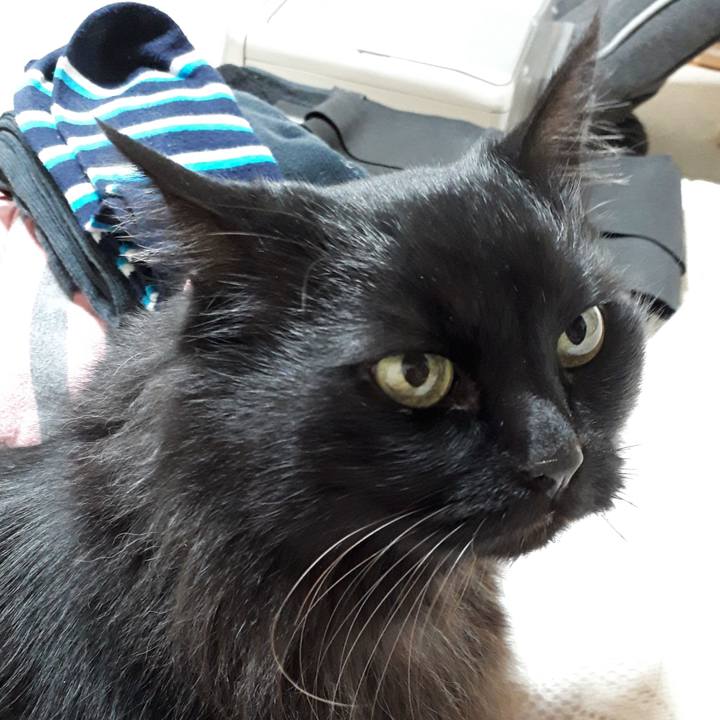 4e59fa03 ff82 4040 9ea5 a88715915a95 1521190553750