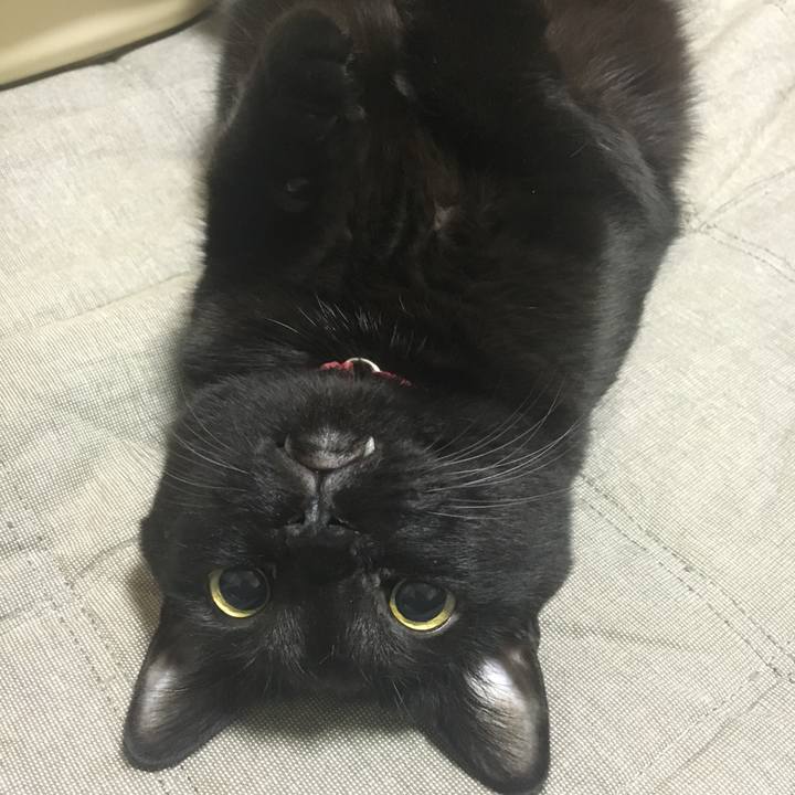 4e5a23d7 92bd 403f 8f0e b21a110fda13 1508337932748