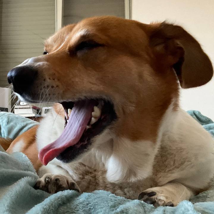 4e5a465b aa5d 4515 9f47 debfa2d8f337 1763765588058