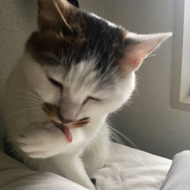 4e5a9fde 4cdc 420e 9ce5 ff56d5f7da16 1542090209982